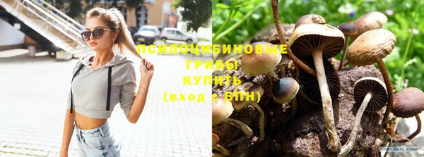 метадон Абдулино