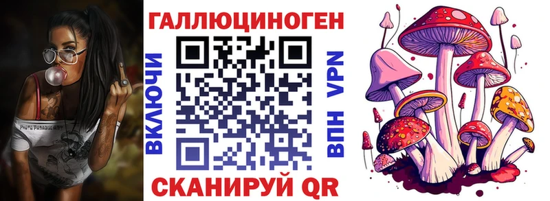 где найти   Киренск  Псилоцибиновые грибы мухоморы 